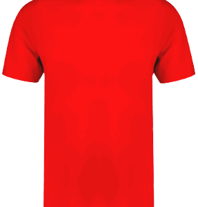 T-Shirt Adulte Couleur Seiyo